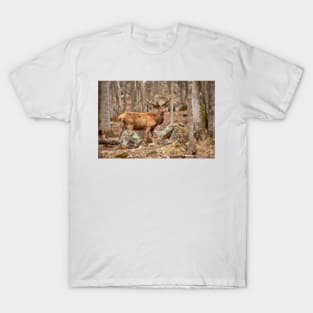 Red Deer T-Shirt